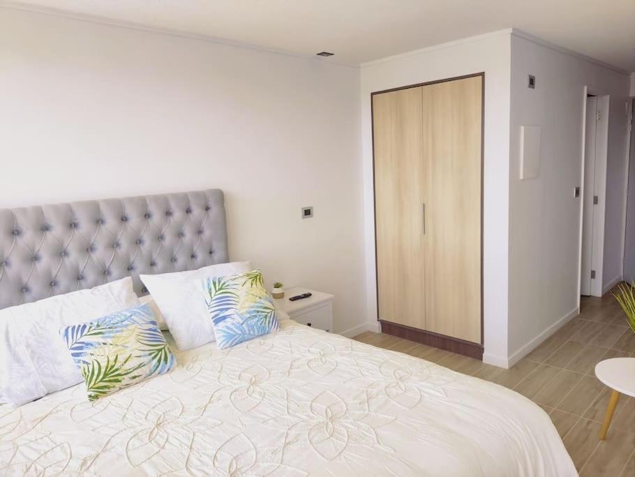 Departamento Estudio511 Islateja Valdivia Ngoại thất bức ảnh