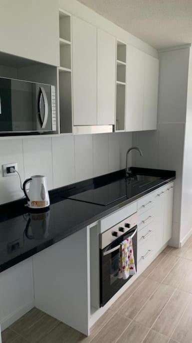 Departamento Estudio511 Islateja Valdivia Ngoại thất bức ảnh